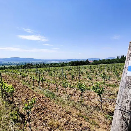 Apartament Thermal Valley Apartman - Batthyany Villapark *